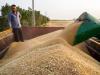 ۱۱۰۰ مرکز در کشور گندم کشاورزان را خریداری می‌کنند